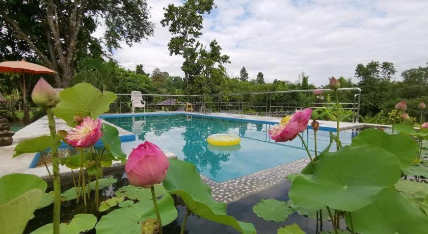 Ban Rai Tin Thai Ngarm Eco Lodge Mae Rim Ngoại thất bức ảnh